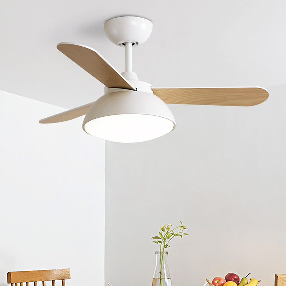 Modern Simple Flush Ceiling Fan With LED Lighting -Homdiy