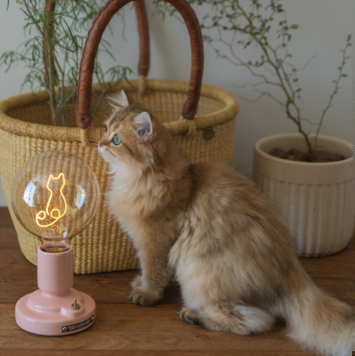 Cute Pink & White Cat Pattern Table Lamp -Homdiy