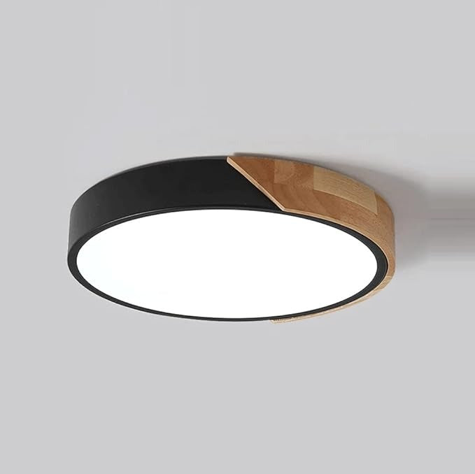 Minimalist Round LED Dimmable Ceiling Light