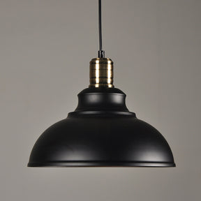 Wrought Iron Retro Chandelier Industrial Style Single Head Pendant Lamp -Homdiy